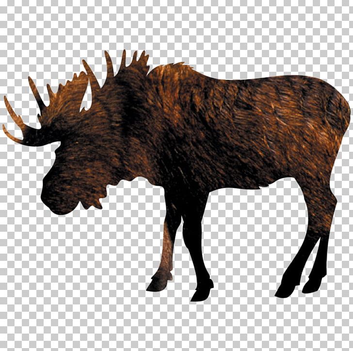 Moose PNG, Clipart, Antler, Art, Cartoon, Cattle Like Mammal, Deer Free PNG Download