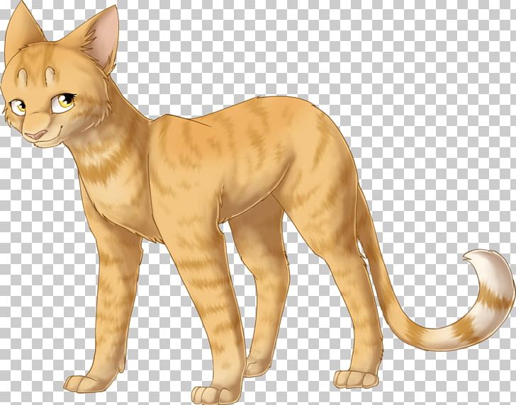 Whiskers Domestic Short-haired Cat Terrestrial Animal Asia PNG, Clipart, Animal, Animal Figure, Animals, Asia, Asian Free PNG Download