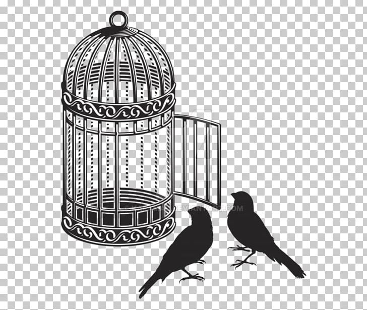 Birdcage Cockatiel Graphics PNG, Clipart, Animals, Beak, Bird, Bird Bird, Bird Cage Free PNG Download