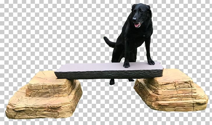 Dog Balance Beam Leash Wood PNG, Clipart, Balance Beam, Beam, Climbing, Dog, Dog Agility Free PNG Download