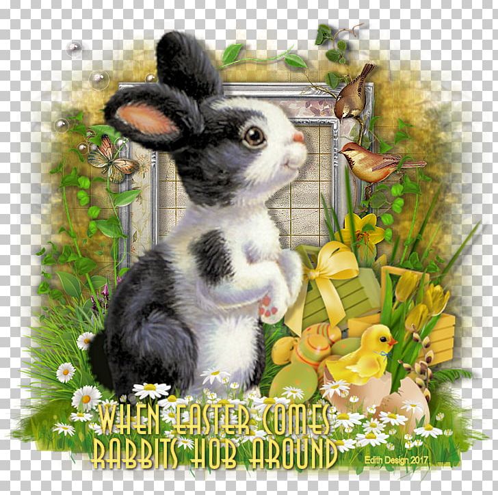 Domestic Rabbit Easter Bunny Hare PNG, Clipart, Animals, Domestic Rabbit, Easter, Easter Bunny, Fauna Free PNG Download