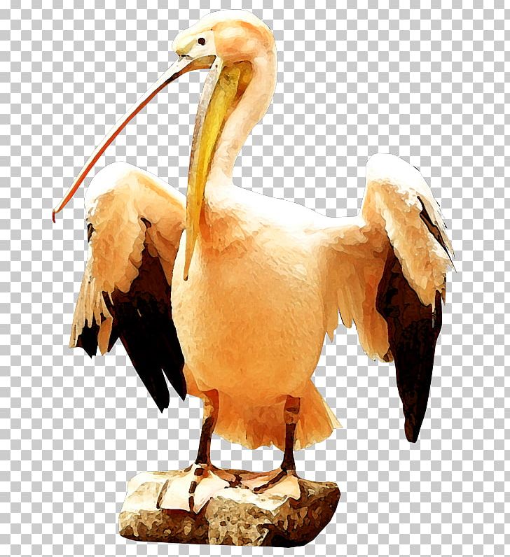 Crane Yellow PNG, Clipart, Beak, Bird, Crane, Download, Encapsulated Postscript Free PNG Download