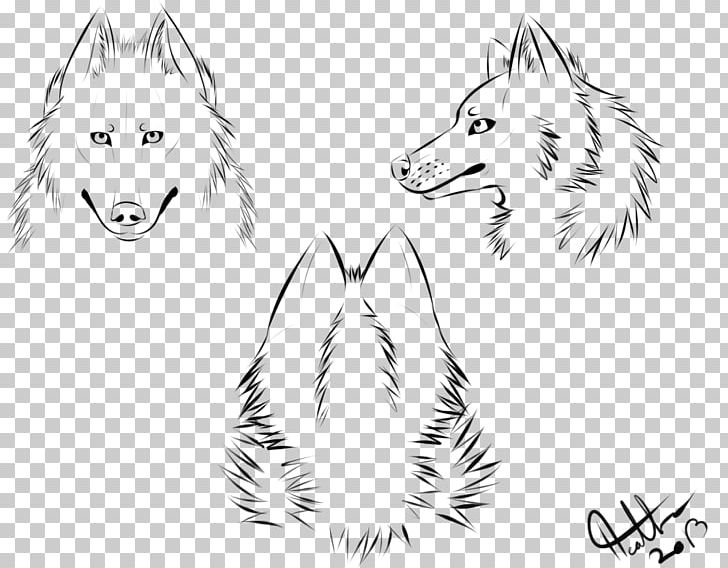 Gray Wolf Snout Drawing Sketch PNG, Clipart, Anatomy, Art, Artwork, Black And White, Carnivoran Free PNG Download