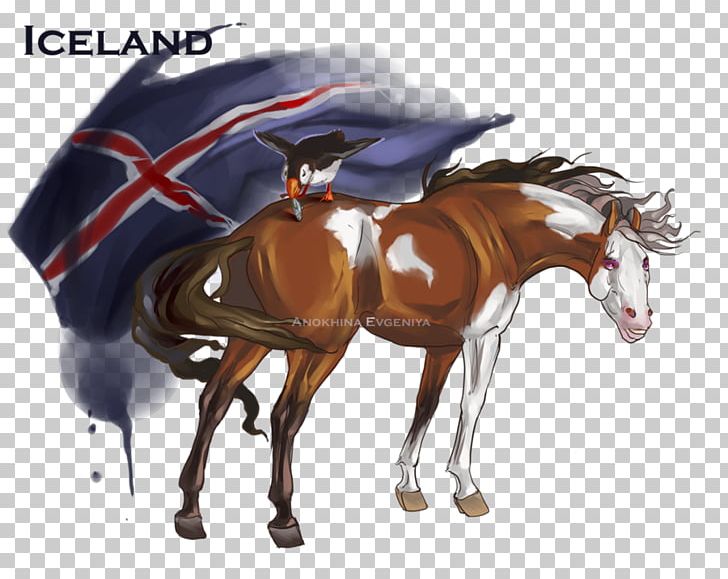 Stallion Mustang Pony Icelandic Horse Hetalia: Axis Powers PNG, Clipart, Bridle, Equestrian, Equus, Hetalia Axis Powers, Horse Free PNG Download
