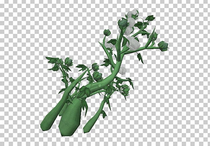 Cotton Plant Stem Crop Textile PNG, Clipart, Branch, Clothing, Cotton, Cotton Plant, Crop Free PNG Download