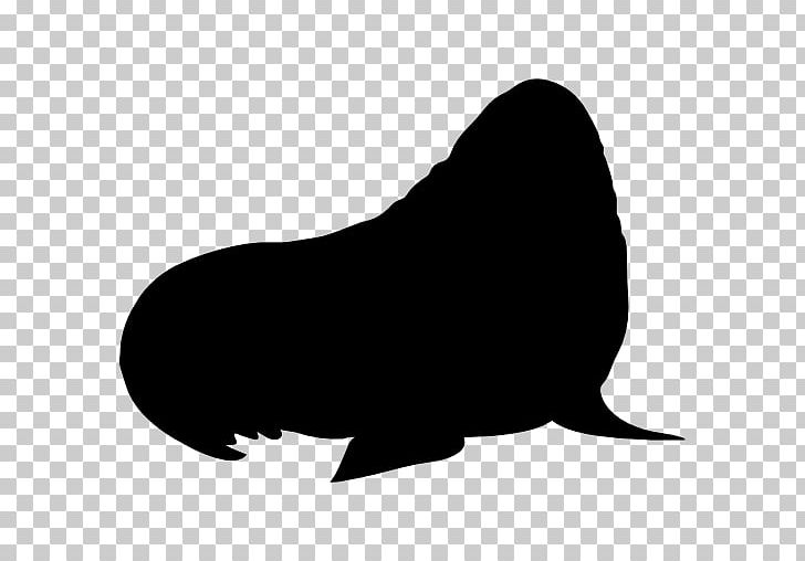 Walrus Silhouette Animal PNG, Clipart, Animal, Animals, Black, Black And White, Carnivoran Free PNG Download