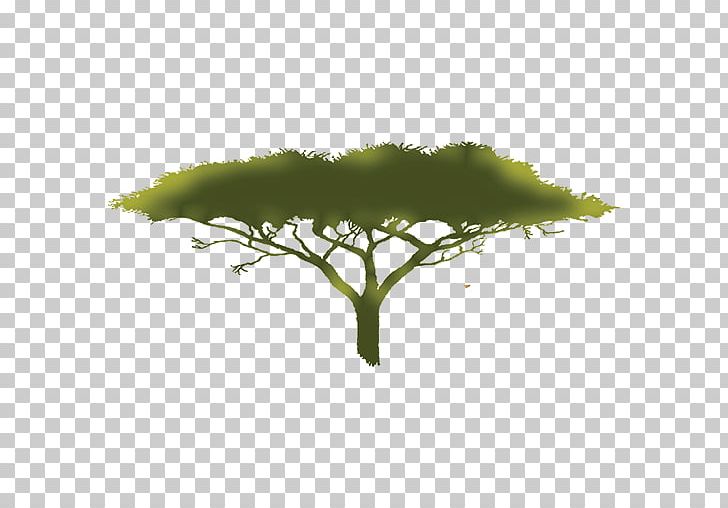 Leaf Plant Stem Branching PNG, Clipart, Branch, Branching, Grass, Green, Leaf Free PNG Download