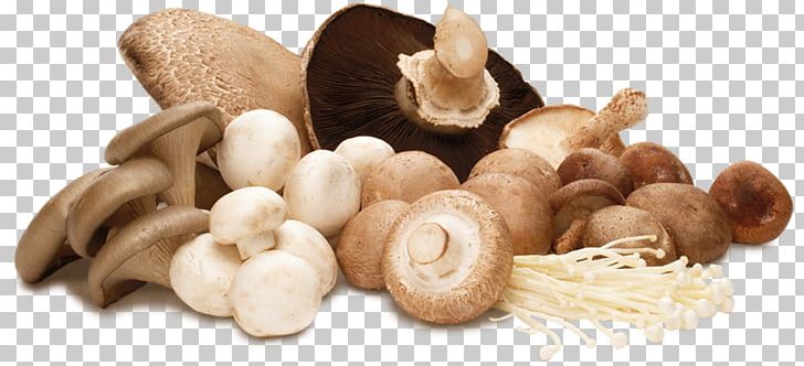 Medicinal Fungi Edible Mushroom Lingzhi Mushroom Common Mushroom PNG, Clipart, Common Mushroom, Eating, Edible Mushroom, Food, Fungus Free PNG Download