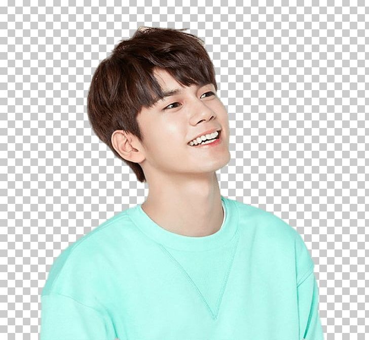 Wanna One Ong Seong Wu Posing PNG, Clipart, K Pop, Music Stars, Wanna One Free PNG Download