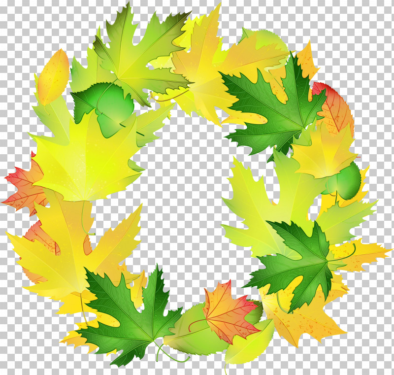 Maple Leaf PNG, Clipart, Biology, Flower, Leaf, Maple, Maple Leaf Free PNG Download