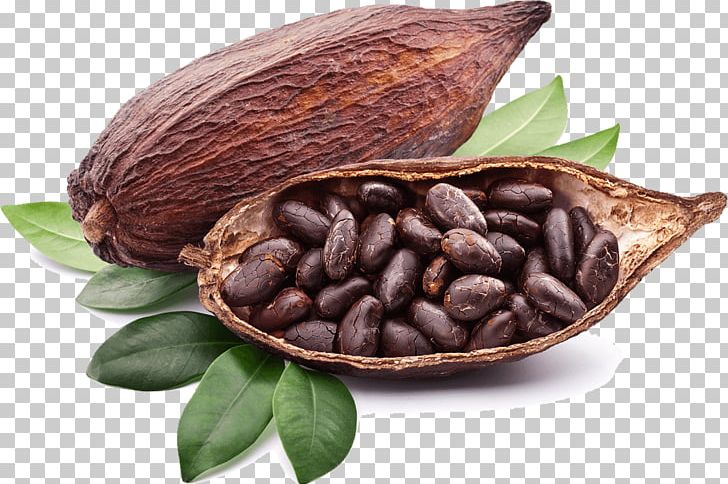 Criollo Organic Food Raw Foodism Tejate Cocoa Bean PNG, Clipart, Bean, Chocolate, Chocolate Liquor, Cocoa Bean, Cocoa Butter Free PNG Download