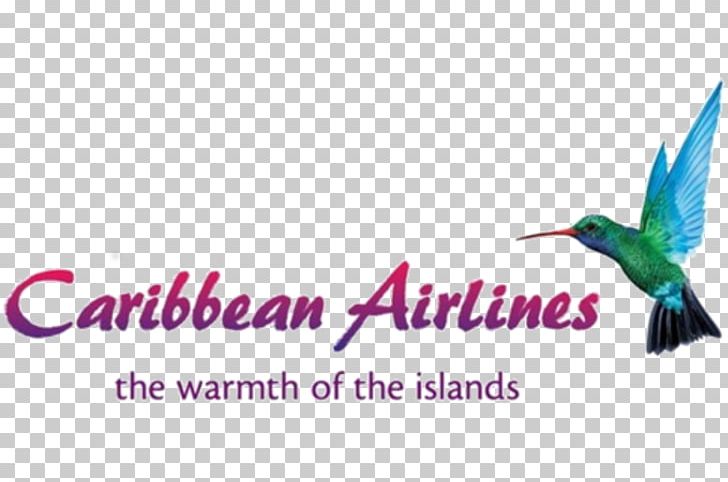 Piarco International Airport Cheddi Jagan International Airport Caribbean Airlines Lynden Pindling International Airport Flight PNG, Clipart, Advertising, Air Jamaica, Airline, Beak, Bird Free PNG Download