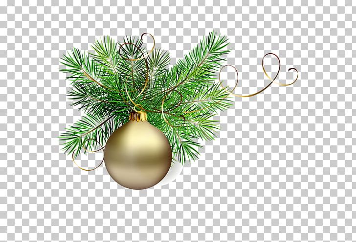 Christmas Decoration Christmas Tree Christmas Ornament PNG, Clipart, Branch, Christmas, Christmas Decoration, Christmas Ornament, Christmas Tree Free PNG Download