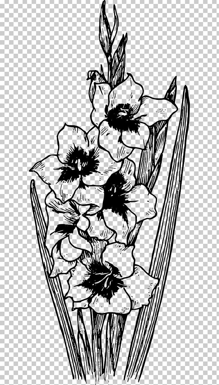 Coloring Book Drawing Stock Photography Gladiolus Communis PNG, Clipart, Arm, Art, Artwork, Black And White, Botany Free PNG Download