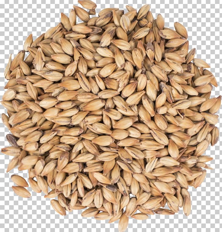 Oat Beer Cereal Malt Spelt PNG, Clipart, Avena, Beer, Beer Brewing ...