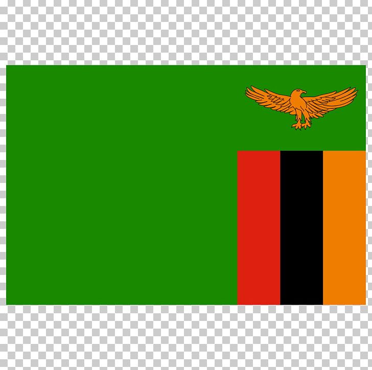 Zambia National Football Team ZESCO United F.C. Zanaco F.C. South Africa National Football Team PNG, Clipart, Africa, Africa Cup Of Nations, Angle, Area, Brand Free PNG Download