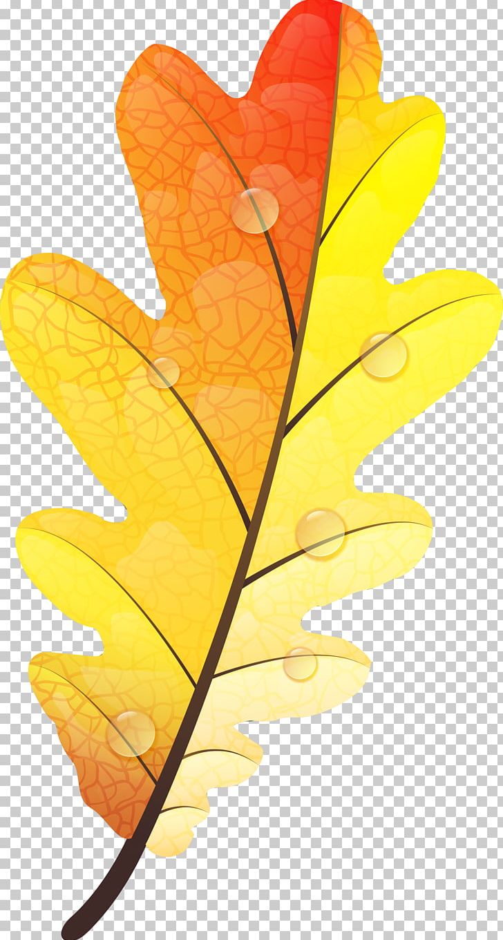 Autumn Leaf Color Yellow Autumn Leaf Color PNG, Clipart, Art, Aut, Autumn, Autumn Leaves, Autumn Tree Free PNG Download
