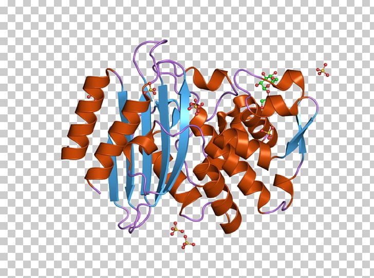 RAR-related Orphan Receptor Beta Natriuretic Peptide Nuclear Receptor PNG, Clipart, European Bioinformatics Institute, Graphic Design, Gria2, Nterminus, Nuclear Receptor Free PNG Download