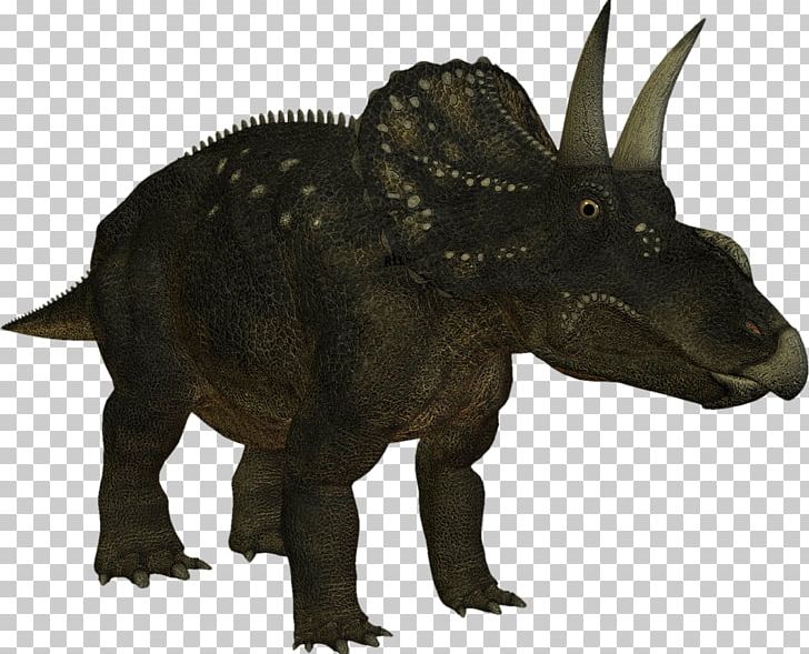 Spinosaurus Tyrannosaurus Triceratops Horridus Dinosaur Ceratopsidae PNG, Clipart, Ceratopsidae, Dinosaur, Extinction, Fantasy, Jurassic Free PNG Download