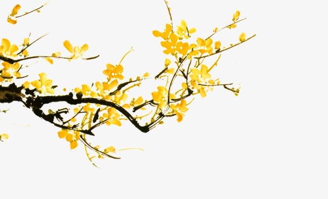 Download Yellow Flowers Branch Png Clipart Branch Clipart Branch Clipart Branches Flower Flowers Free Png Download