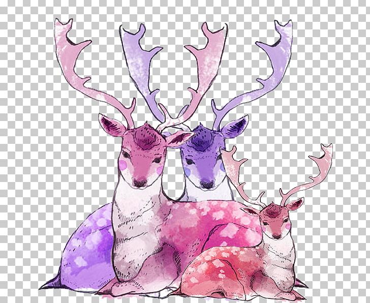 Red Deer Sika Deer PNG, Clipart, Animal, Animals, Antler, Colours, Deer Free PNG Download