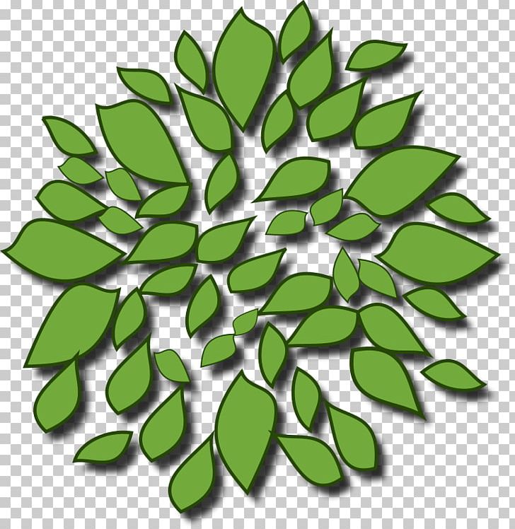 Tree Arecaceae Computer Icons PNG, Clipart, Arecaceae, Branch, Computer, Computer Icons, Fruit Tree Free PNG Download
