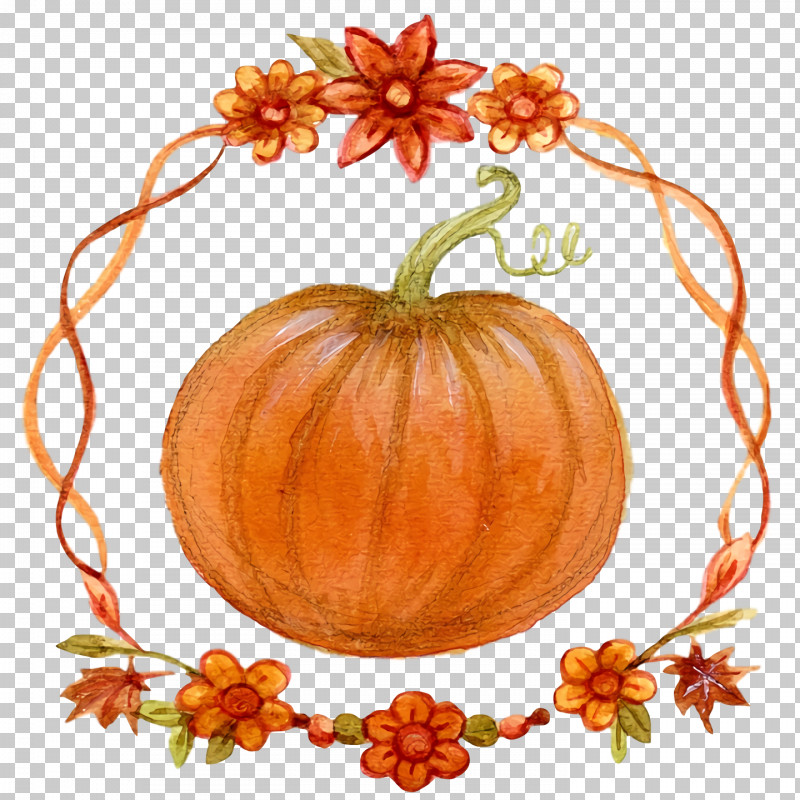 Pumpkin PNG, Clipart, Gourd, Pumpkin, Squash, Thanksgiving, Winter Squash Free PNG Download