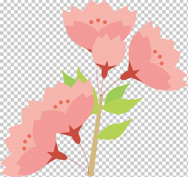 Cherry Flower Floral Flower PNG, Clipart, Cherry Flower, Floral, Flower, Leaf, Pedicel Free PNG Download