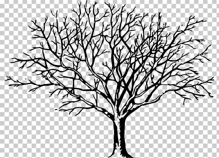 Drawing Tree Of Life PNG, Clipart, Artwork, Birch, Black And White, Branch, Drawing Free PNG Download