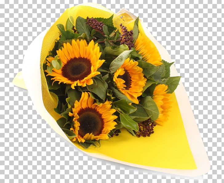 Floral Design Common Sunflower Cut Flowers Sunflower Seed PNG, Clipart, Common Sunflower, Cut Flowers, Floral Design, Floristry, Flower Free PNG Download