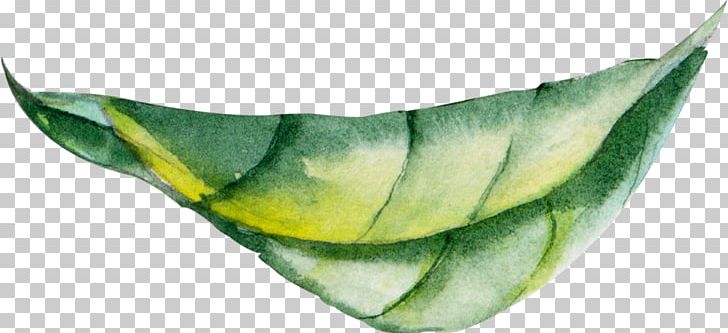 Leaf PNG, Clipart, Blue, Cartoon, Editing, Graphic Design, Green Free PNG Download