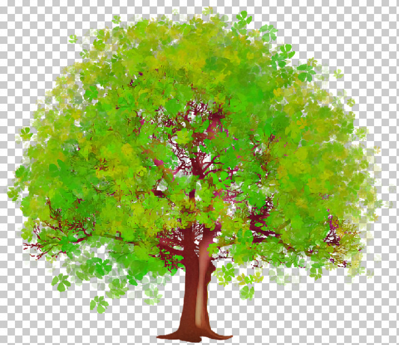 Plane PNG, Clipart, Branch, Green, Leaf, Plane, Plant Free PNG Download