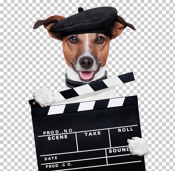 Holding The Sign Of The Dog Card PNG, Clipart, Birthday Card, Business Card, Canvas Print, Cinema, Clapperboard Free PNG Download