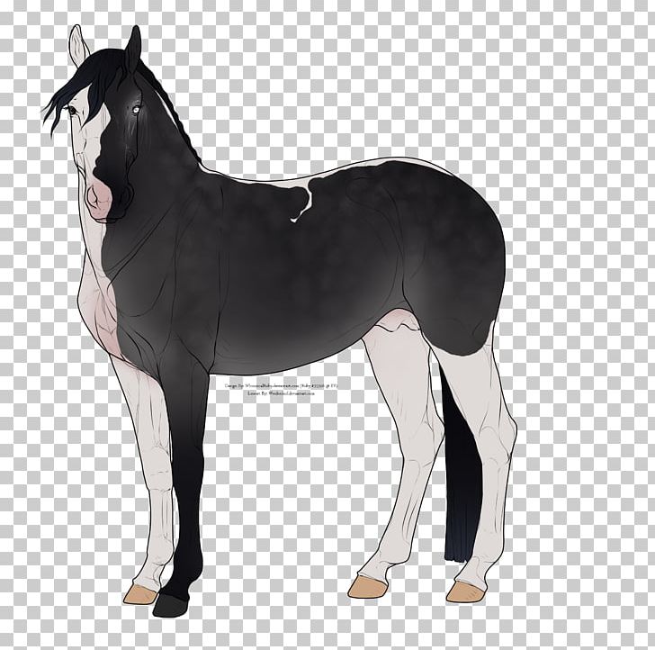 chimera horse