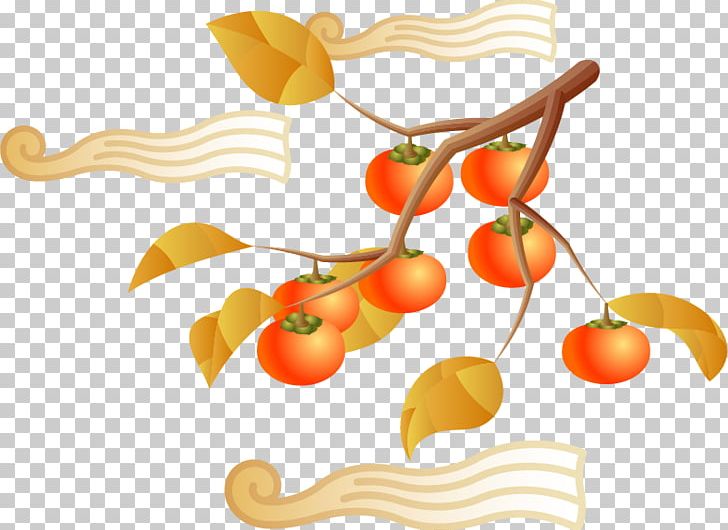 Japanese Persimmon Fruit Vegetarian Cuisine PNG, Clipart, Cartoon, Chin, Clip Art, Encapsulated Postscript, Family Tree Free PNG Download