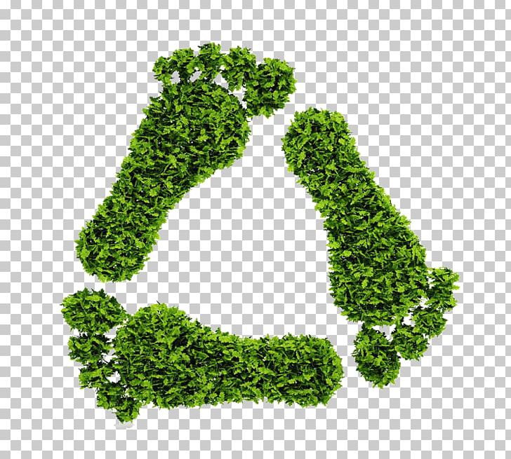 Recycling Symbol Ecological Footprint Ecology Environmentally Friendly PNG, Clipart, Botany, Fall Leaves, Feet, Foot, Footprint Free PNG Download