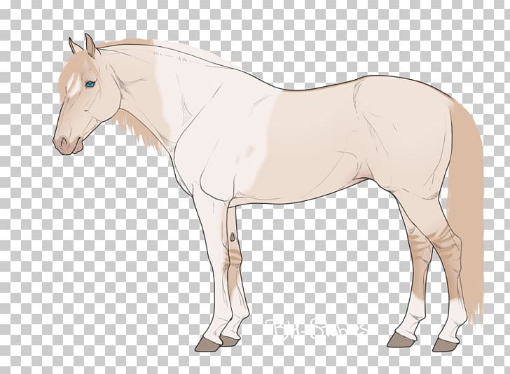 Foal Mare Mustang Stallion Rein PNG, Clipart,  Free PNG Download