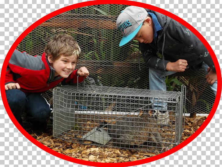 Karetu School Possum Busters PNG, Clipart, Bus, Child, Garden, Gardening, Judge Free PNG Download