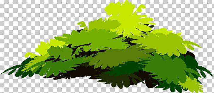 Tree Green Branch PNG, Clipart, Background, Background Green, Branch, Cartoon, Fall Leaves Free PNG Download