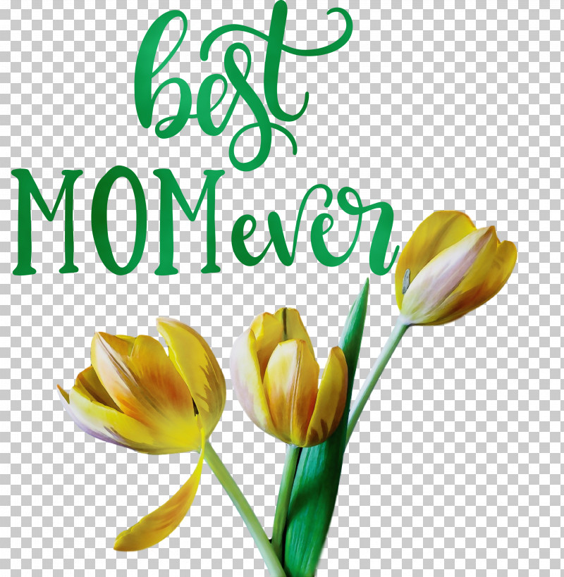 Flower Bouquet PNG, Clipart, Best Mom Ever, Bud, Color, Crocus, Cut Flowers Free PNG Download