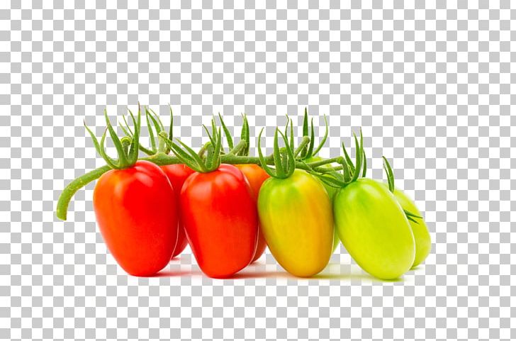 Cherry Tomato Common Grape Vine Ripening Fruit Vegetable PNG, Clipart, Bell Pepper, Cherry, Cherry Blossom, Cherry Blossoms, Food Free PNG Download