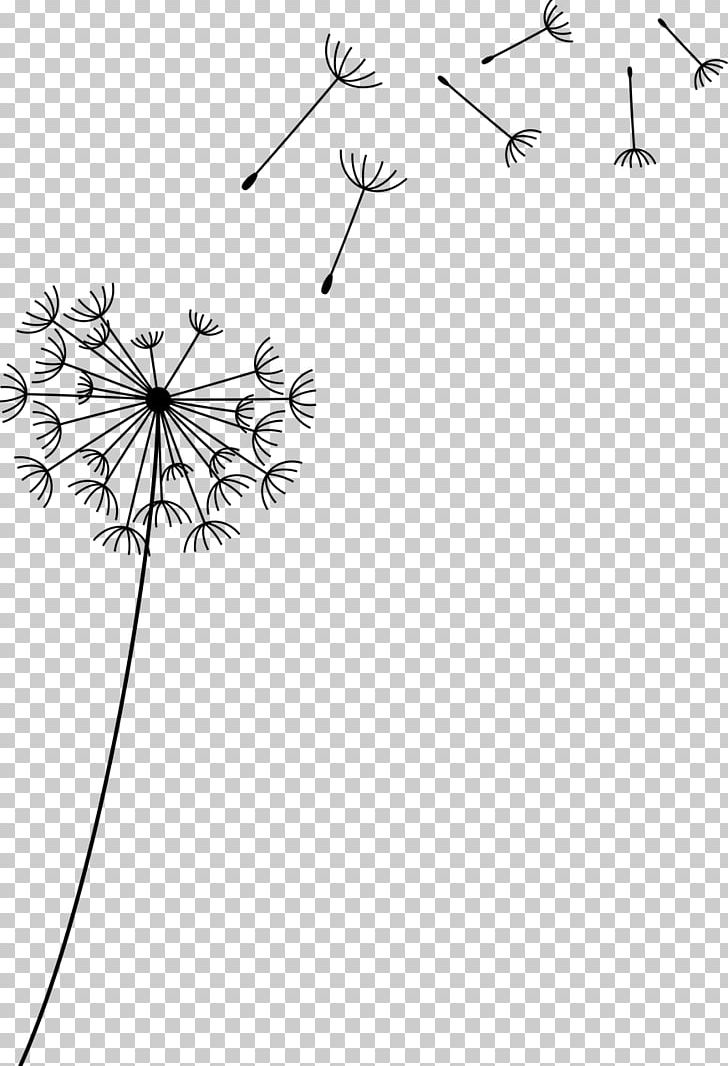 Dandelion Flower Petal PNG, Clipart, Angle, Area, Black And White, Branch, Circle Free PNG Download