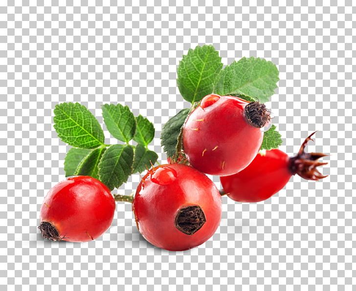 Gooseberry Rose Hip Zante Currant Dog-rose Tea PNG, Clipart, Accessory Fruit, Auglis, Berry, Cranberry, Currant Free PNG Download