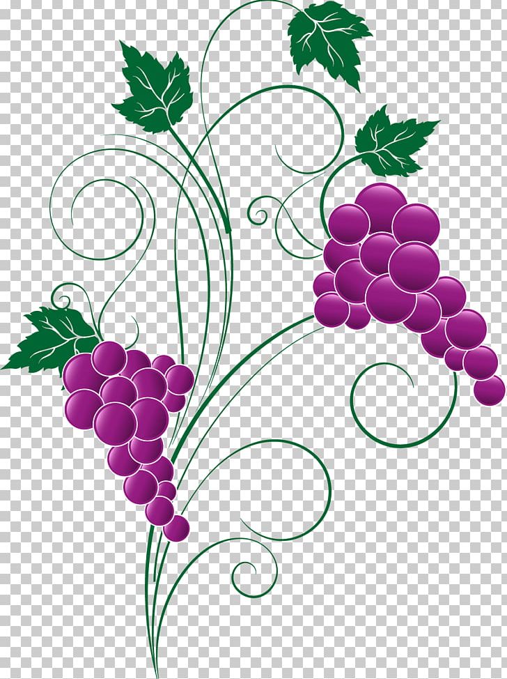 Grapevines Food Grape Leaves PNG, Clipart, Berry, Floral Design, Flower, Flowering Plant, Food Free PNG Download
