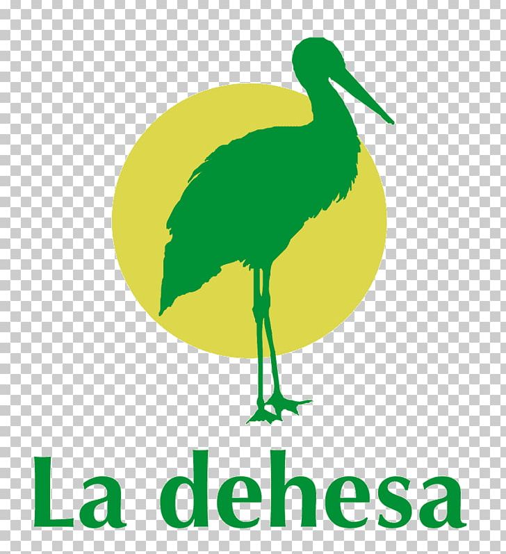 Restaurante La Dehesa • PISCINA • EVENTOS • ACTUACIONES Menu Swimming Pool Beak PNG, Clipart, Artwork, Beak, Bird, Campervans, Category Of Being Free PNG Download