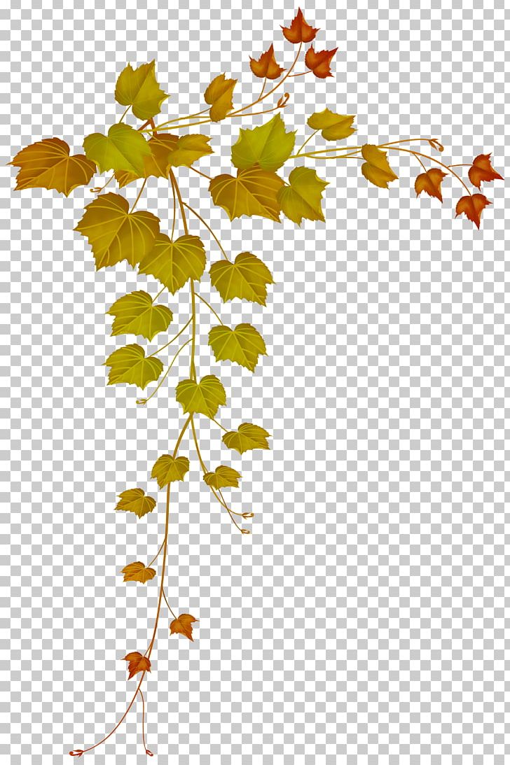 Autumn Leaf Color Autumn Leaf Color PNG, Clipart, Autumn, Autumn Leaf Color, Branch, Decorative Arts, Flora Free PNG Download