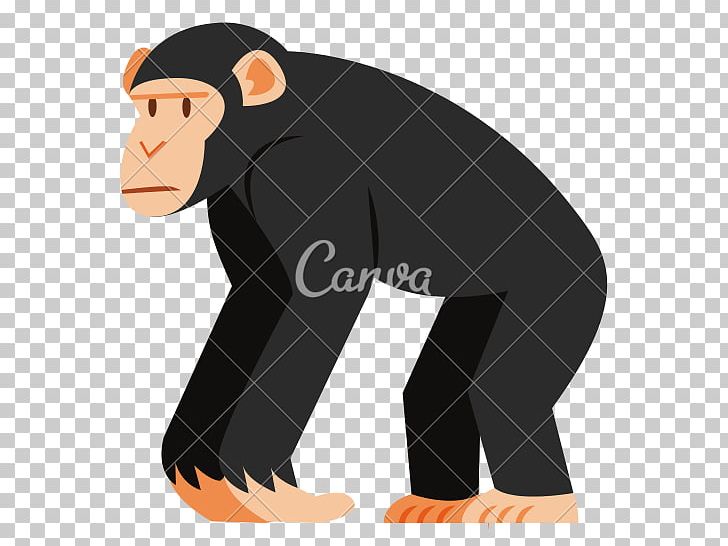 Chimpanzee Ape Cartoon Monkey PNG, Clipart, Animals, Ape, Cartoon, Chimpanzee, Common Chimpanzee Free PNG Download