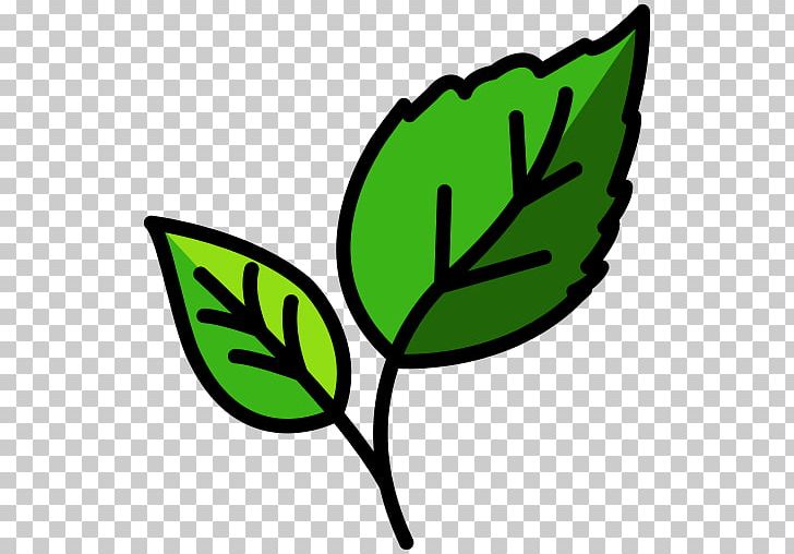 Leaf Computer Icons Ecology PNG, Clipart, Artwork, Computer Icons, Deciduous, Ecology, Flora Free PNG Download