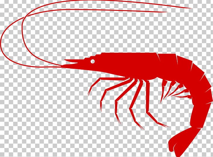 Shrimp And Prawn As Food Seafood PNG, Clipart, Animals, Artwork, Beak, Clip Art, Computer Icons Free PNG Download