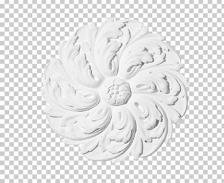 Petal White PNG, Clipart, Art, Black And White, Circle, Cut Flowers, Flower Free PNG Download